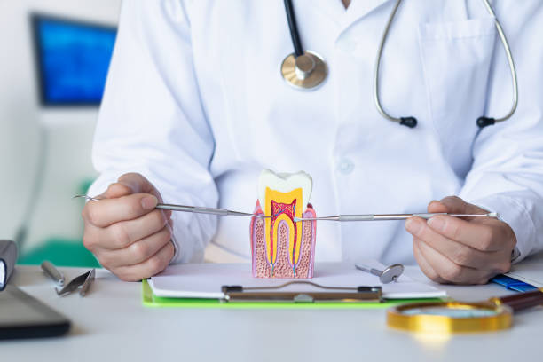 Best Dental Abscess Treatment in Brookings, SD